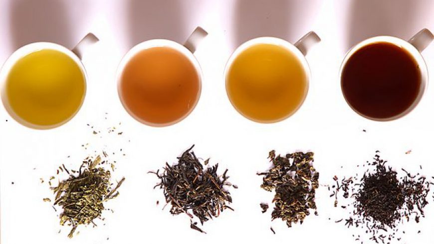 Công dụng của từng loại trà với sức khỏe