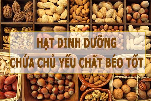 hat-dinh-duong-chua-chat-beo-tot-ckn